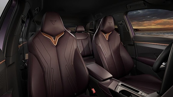 Cupra Terramar 7 of 7