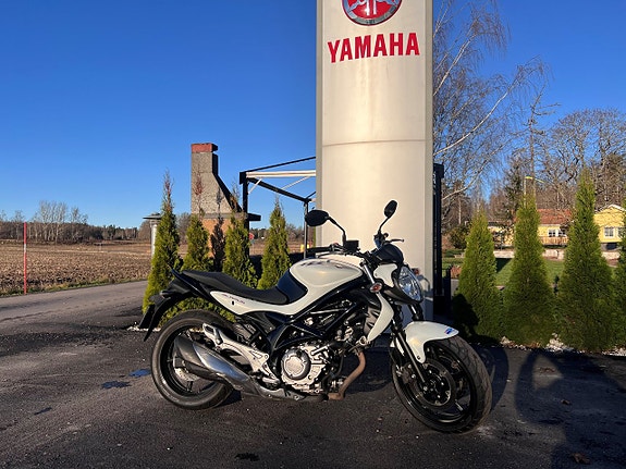 Suzuki SFV650