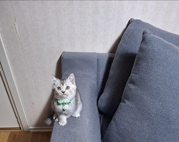 Product image 5 of 9