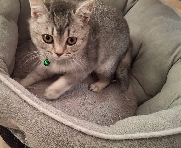 Product image 8 of 9