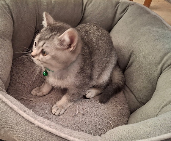 Product image 7 of 9