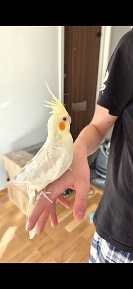 Product image 4 of 4