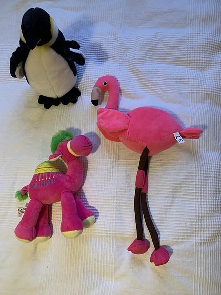 Product image 3 of 9