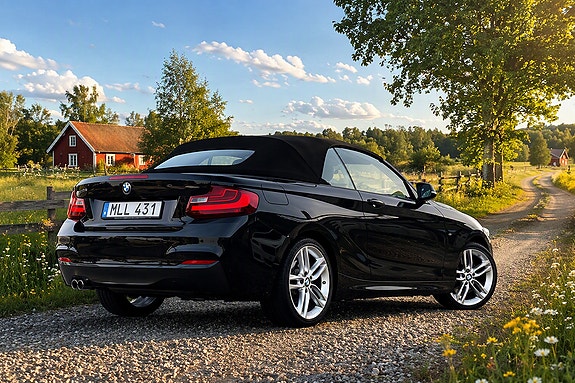 BMW 228i 7 of 7