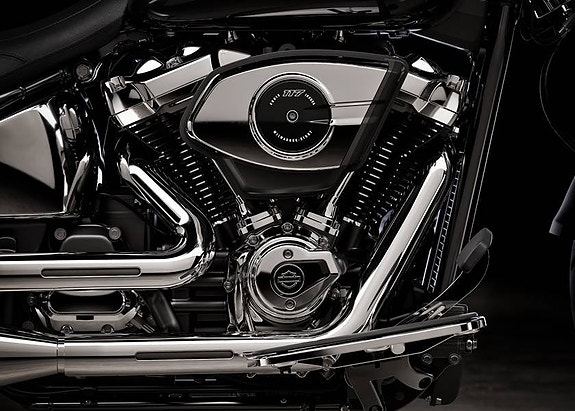 Harley-Davidson Fat Boy 117 10 of 10