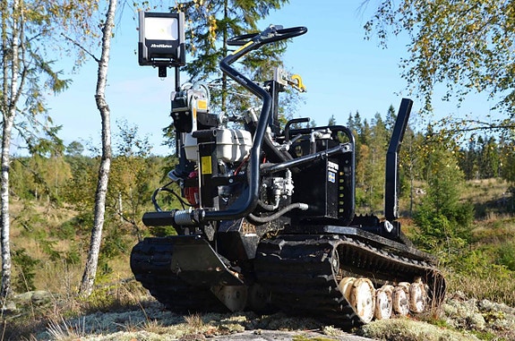 Järnhästen Flex Skog