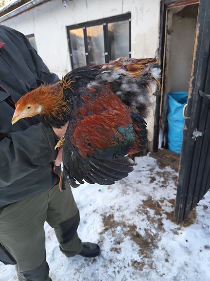 Product image 3 of 7