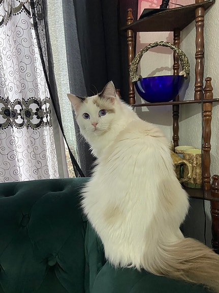 Product image 3 of 7