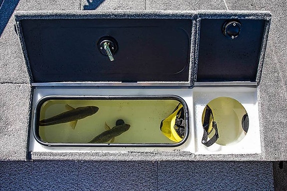 Alumacraft Classic 165 Tiller med Mercury F60ELHPT -2026 10 of 11