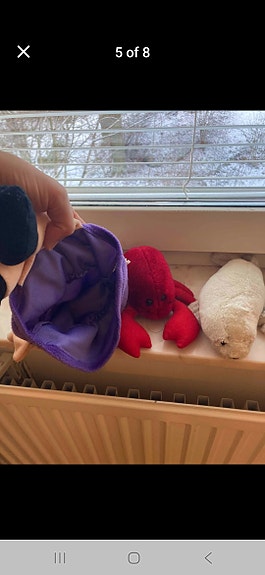 Product image 5 of 8