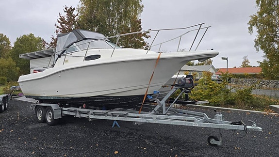 Wellcraft 24 Wa + Suzuki DF300