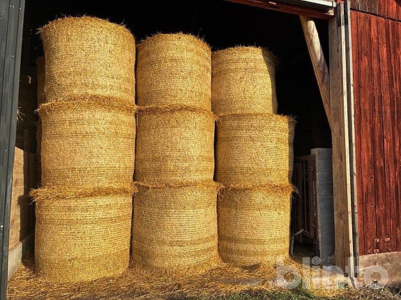 Havrehalm i rundbal Okänt