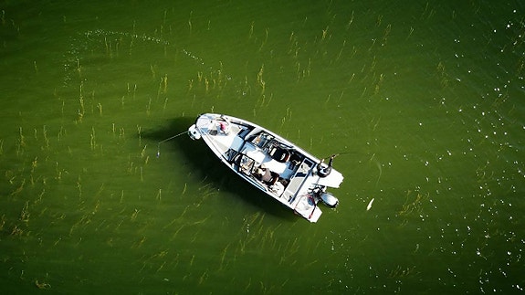 Buster XL Fishing Edition med yamaha F115 XB 2026 Kampanj ! 4 of 6