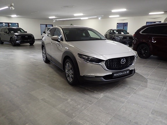 Mazda CX-30 14 of 21