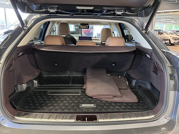 Lexus RX450h 6 of 22