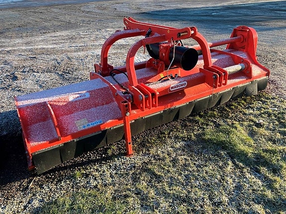 Maschio bufalo 300