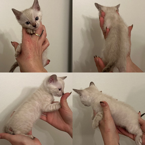 Product image 9 of 9