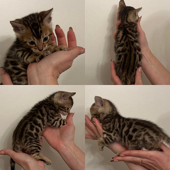 Product image 6 of 9