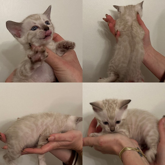 Product image 7 of 9