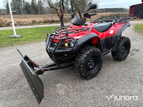 TGB Taixan Golden BEE