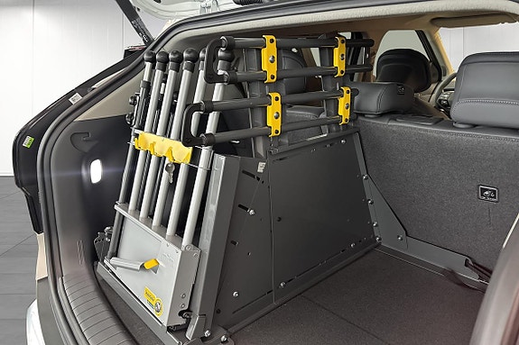 Kia EV3 23 of 25