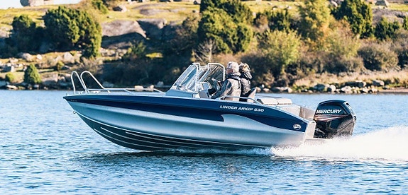 Linder Arkip 530 BR - 2024, Mercury F100- 2025