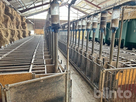 135 stycken Ätbås för gyltor Okänd