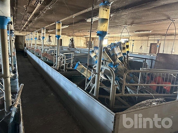 Grisningsboxar  Okänt