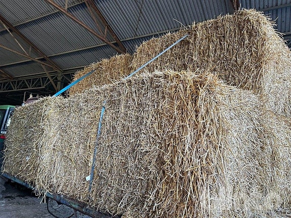 96 stycken Halmbalar 2025