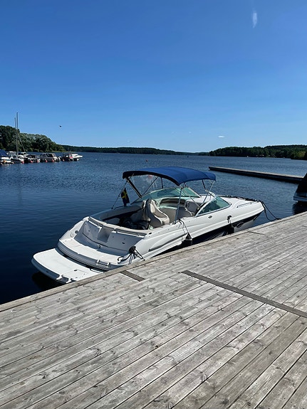 Chaparral 265 SSI (2003) – V8 · Endast sötvatten · Mycket välskött 4 of 5