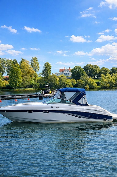 Chaparral 265 SSI (2003) – V8 · Endast sötvatten · Mycket välskött 2 of 5