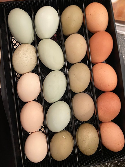 Product image 18 of 23