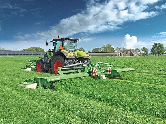 Samasz butterfly till kanonpris!