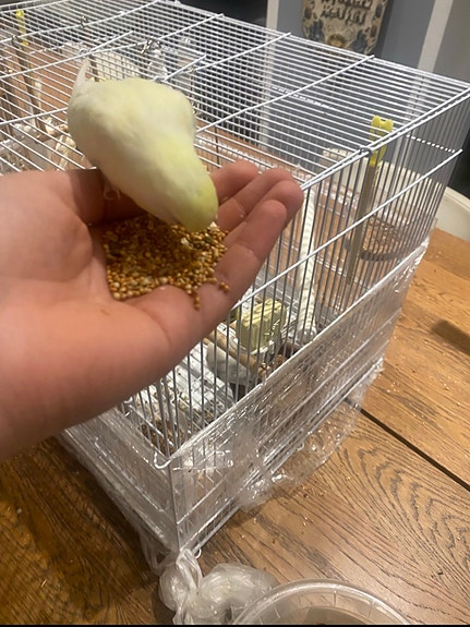 Product image 3 of 7