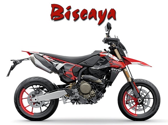 Ducati Hypermotard 698 Mono RVE