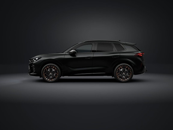 Cupra Terramar 2 of 5