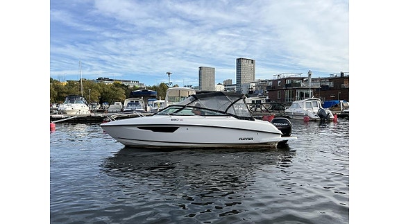 Flipper 650 DC -19 Mercury F150 -19