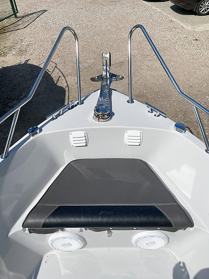 Silver 650 Eagle | Mercury Verado 175 5 of 5