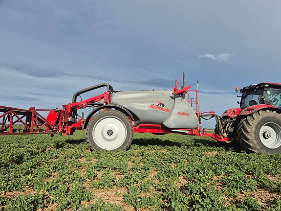 Krukowiak Goliat - Marknadens mest prisvärda