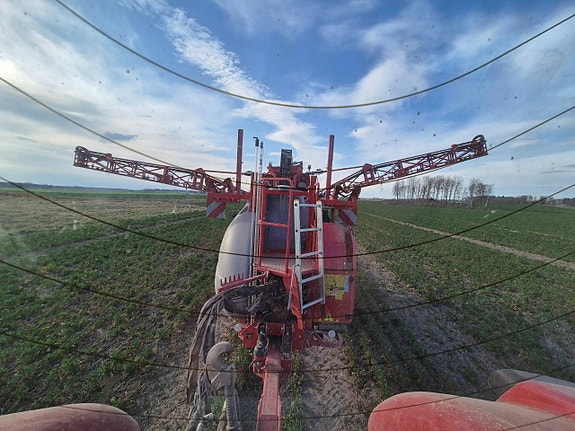 Krukowiak Goliat - Marknadens mest prisvärda 3 of 4