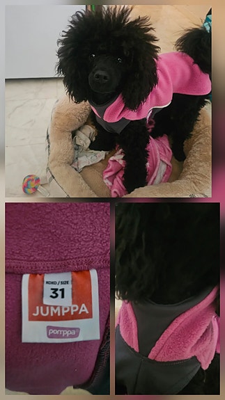 Product image 11 of 11