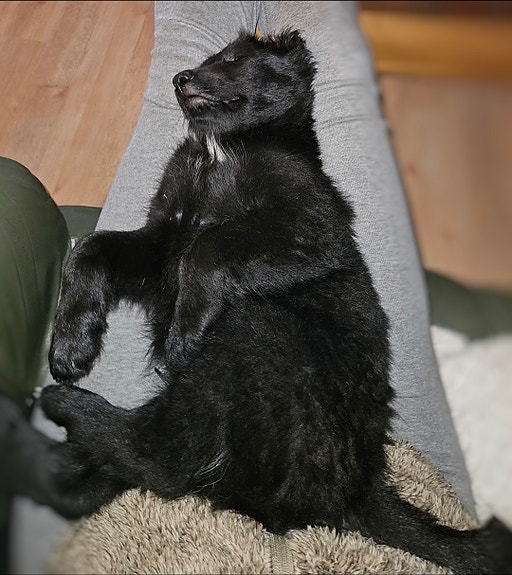 Product image 8 of 10