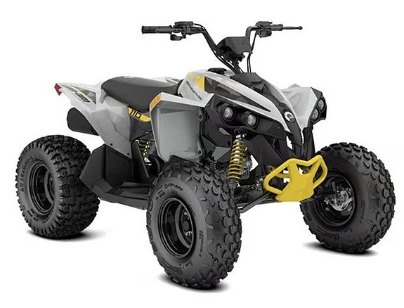 Can-Am Renegade STD 110 EFI