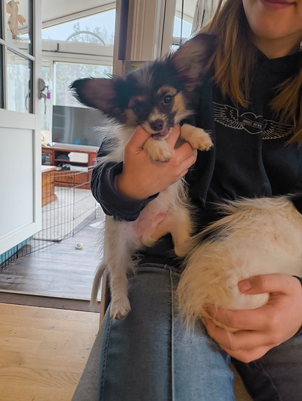 Product image 8 of 9