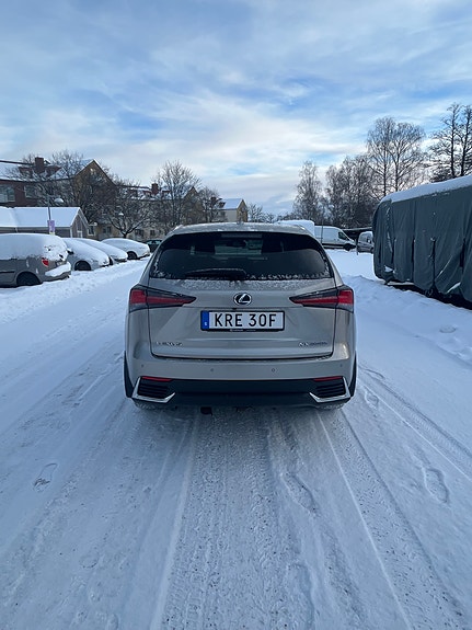Lexus NX300h 7 of 13