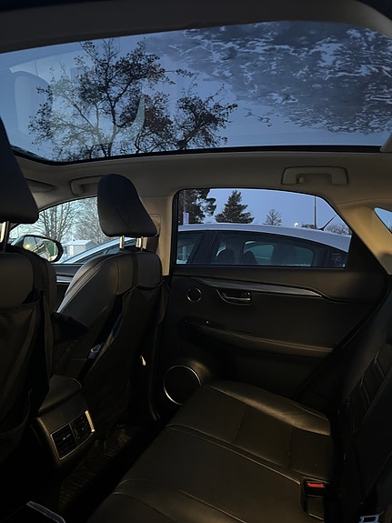 Lexus NX300h 13 of 13