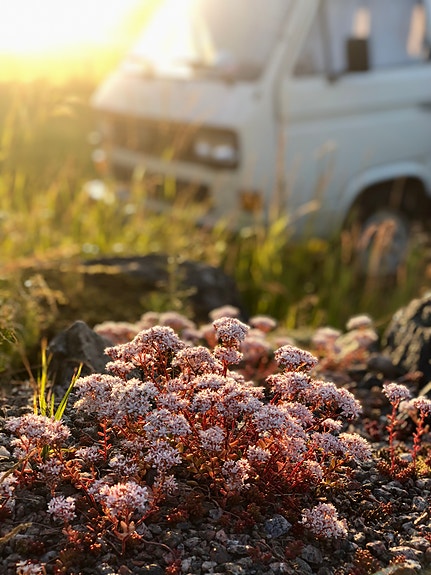Volkswagen Caravelle 10 of 12