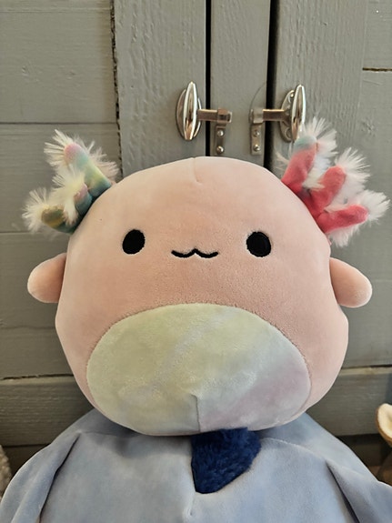 Product image 7 of 7