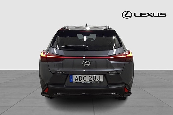 Lexus UX250h 4 of 22