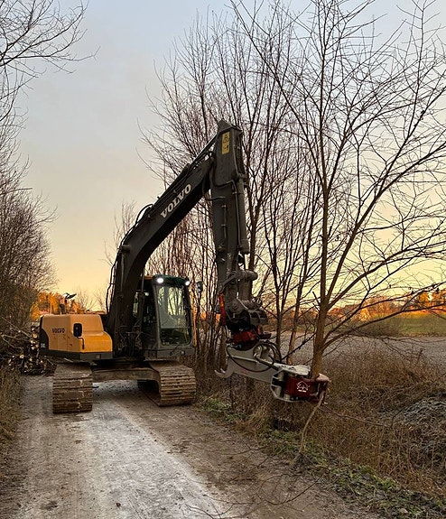 Träd- och slyklippning